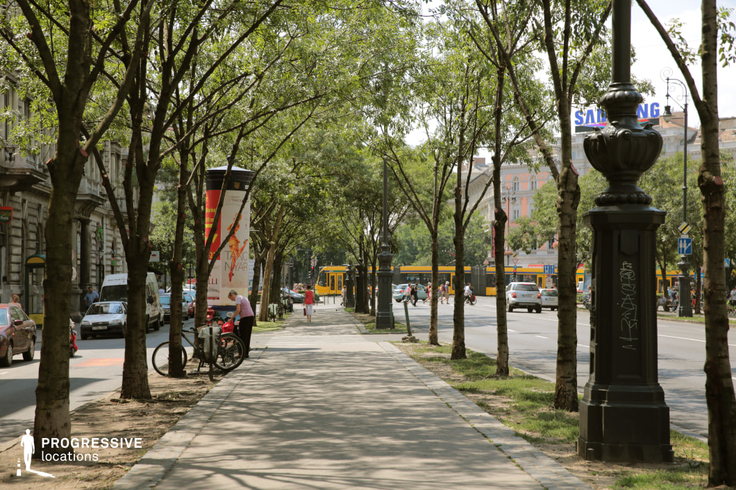This image portrays a vibrant urban boulevard framed by evenly spaced rows of trees, creating a natural canopy over the pedestrian walkway. The trees cast intricate shadows on the paved path, adding depth and texture to the scene. On the left, historic buildings with ornate façades reflect a sense of architectural heritage, characterized by their detailed design and classic urban charm. On the right, a decorative black cast-iron street lamp adds a touch of elegance and reinforces the traditional aesthetic.

The layout of the boulevard is spacious and well-organized, with the tree-lined paths offering a serene contrast to the surrounding urban activity. The combination of greenery, historic architecture, and functional design elements makes this location visually balanced and appealing.

This setting is highly versatile, ideal for showcasing everyday urban life or emphasizing a blend of historic and natural elements in film or photography. Its structured composition and layered details make it a compelling backdrop for a variety of creative projects.