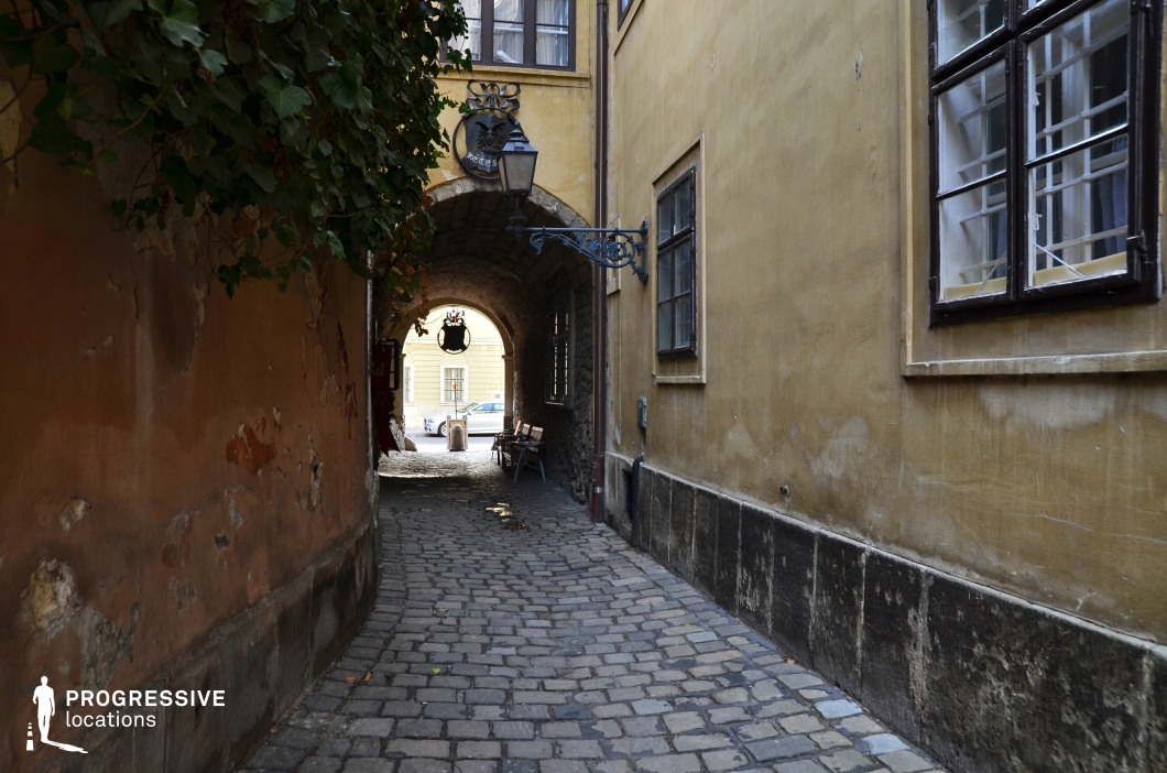 This charming image depicts a narrow cobblestone alleyway in a historic setting, likely dating back to the 18th or 19th century. The architecture reflects a Baroque influence, with its rounded archway and decorative wrought-iron elements adding a sense of refinement amidst the rustic surroundings. Enclosed by aged plaster walls in warm earthy tones, the texture of the walls, with patches of peeling paint and weathering, highlights the passage's historical authenticity. Overhead, an arched stone gateway frames the alley, drawing the eye toward the brighter courtyard beyond. Decorative wrought-iron details, including an intricately designed hanging lamp and sign, enhance the aesthetic, speaking to the craftsmanship of the period. Ivy cascading along the left wall introduces a natural accent to the urban space. The intimate scale and rich textures of the alleyway evoke a timeless, secluded ambiance, ideal for scenes emphasizing history, quiet exploration, or European architectural heritage.
