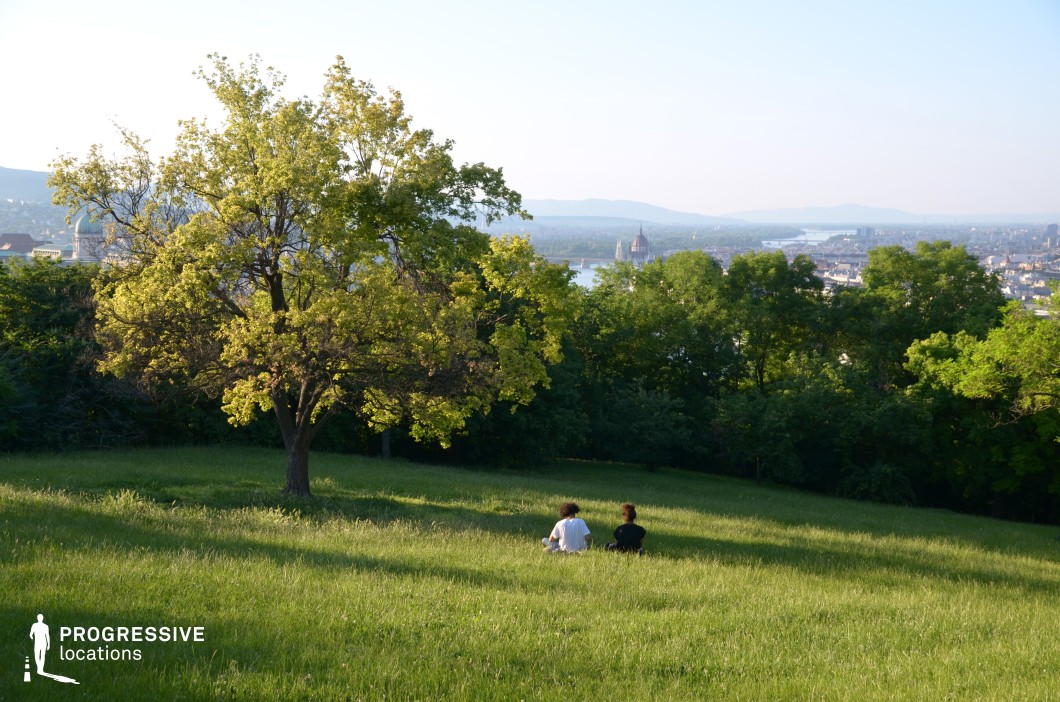 This image captures a serene meadow on a gentle slope, offering a picturesque view of the city in the background. A solitary tree, bathed in warm sunlight, serves as the focal point amidst the vibrant greenery. The composition extends to a distant cityscape, with notable landmarks, including a domed structure, visible on the horizon. The interplay of light and shadow across the grass creates a tranquil and inviting atmosphere. This idyllic setting is ideal for scenes that require a peaceful natural location with a dramatic urban vista in the distance, blending rural charm with a metropolitan backdrop.