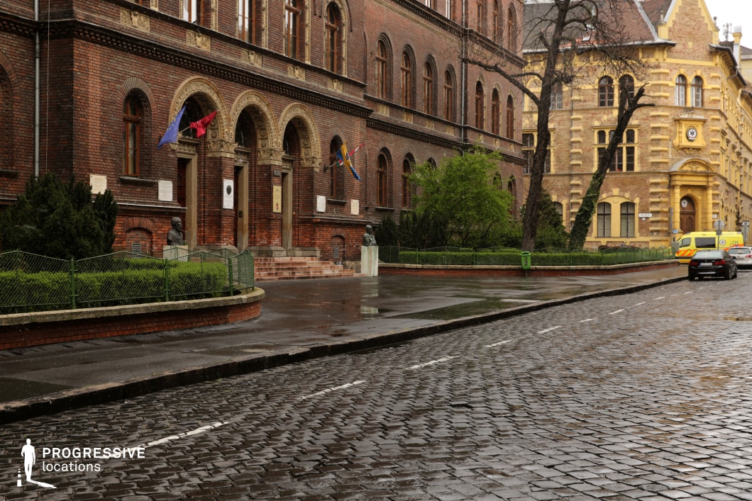 This location presents a gently curving cobblestone street bordered by architecturally rich, late 19th-century buildings constructed from detailed red and yellow brickwork. Dominating the left side is a prominent institutional-style structure with arched entrances, intricately decorated columns, and recessed windows, complemented by stone relief elements and classical motifs. To the right, a contrasting yellow brick building with neogothic detailing and a decorative corner entrance adds depth and historical layering to the scene. The street surface is composed of wet, dark cobblestones, contributing texture and a reflective quality to the lower half of the composition. Low iron fencing and manicured greenery soften the transition between the street and the buildings, while mature trees and trimmed hedges add verticality and visual variety to the green elements. The color palette includes warm earth tones—deep reds, ochres, and browns—combined with natural green and stone grey accents, establishing a visually cohesive and historically grounded ambiance. The scale of the buildings, along with their symmetrical fenestration and elaborate ornamentation, makes this a versatile setting for productions requiring an academic, governmental, or old-world European urban backdrop.