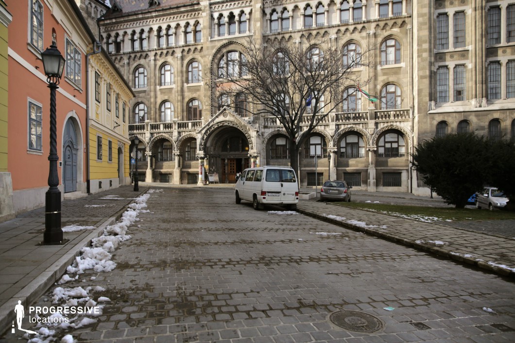 This image captures a historic street lined with colorful facades and a grand neo-Gothic building. On the left, the vibrant orange and yellow buildings bring warmth and contrast to the scene, while the central structure stands out with its arched windows, intricate stone carvings, and a stately entranceway. The cobblestone street enhances the historical atmosphere, leading the viewer's eye toward the ornate architecture. A bare tree introduces a natural element amidst the urban surroundings, adding to the charm and character of the location. This setting is well-suited for productions requiring a richly detailed, historic European backdrop.