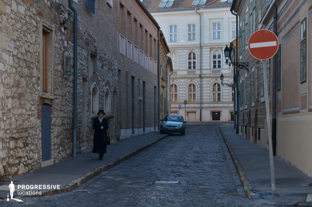 This image portrays a narrow historic street, paved with aged cobblestones and lined with buildings showcasing varied architectural styles. On the left, a rustic stone facade with small arched windows highlights the street's medieval charm, while the right side features painted buildings with traditional wooden shutters. The perspective leads to a grand neoclassical building at the far end, featuring large windows and symmetrical design. Wrought iron street lamps add to the street's historic character, enhancing the authenticity of the setting. This location is ideal for productions seeking a European old-town ambiance with textured stone details and architectural variety.