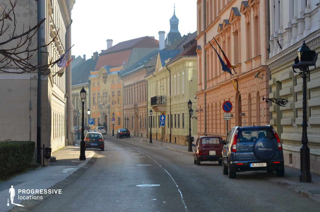 This image captures a picturesque historic street adorned with colorful facades and elegant architectural details. The pastel tones of the buildings, ranging from soft peach to light yellow, reflect Baroque influences with their ornate cornices, symmetrical windows, and decorative accents. The street is lined with wrought iron street lamps, enhancing the old-world charm and directing the viewer’s eye toward a striking building in the background featuring intricate detailing and a vibrant yellow facade. The gently curving road and harmonious architecture create a sophisticated and inviting atmosphere, ideal for scenes requiring a refined European historic setting.