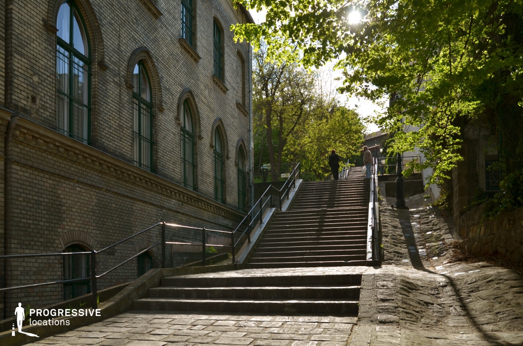 This picturesque urban scene features a steep stone stairway framed by a historic brick building on the left and lush greenery on the right. The building showcases arched windows with green-painted frames, adding a subtle elegance to its aged brick facade. The stairs, constructed from sturdy stone with metal railings, lead upward into a quiet, elevated area, offering a sense of movement and direction. Overhanging trees on the right create a natural canopy, blending urban architecture with nature. The interplay of light and shadow across the steps and building adds depth and warmth, making this location ideal for cinematic or photographic scenes requiring a blend of historical character and tranquil charm.