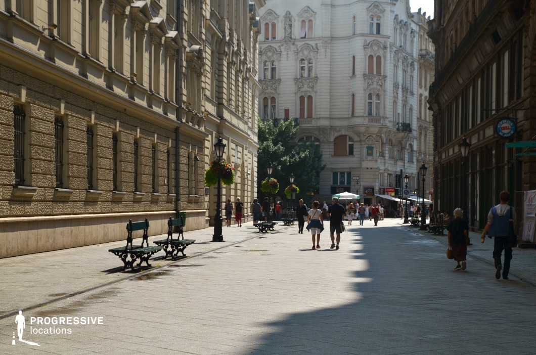 This image captures a vibrant pedestrian street framed by elegant historic buildings. The façades on both sides feature intricate architectural details, including decorative stonework and arched windows, reflecting a classical European urban aesthetic. In the foreground, green wrought-iron benches line the paved walkway, accompanied by traditional black street lamps adorned with hanging flower baskets, adding charm and functionality to the scene.

The street opens toward a grand building in the distance with ornate carvings and a light-colored façade, providing a focal point that anchors the composition. The wide, open layout of the street creates an inviting atmosphere, ideal for leisurely strolls or public gatherings. The combination of historic architecture, clean paving, and thoughtful urban design makes this location versatile and visually appealing.

This pedestrian street is perfect for showcasing scenes of community, cultural vibrancy, or a blend of historical elegance and modern urban life.
