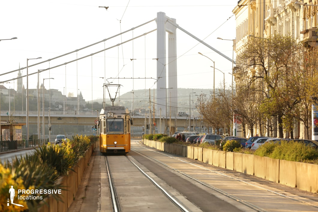 This location showcases a well-defined urban tramway corridor, framed by landscaped dividers and parallel roadways. The central visual element is a classic yellow tram traveling along embedded tracks, which lead directly toward a striking white cable-stayed bridge in the background. This bridge structure introduces vertical and diagonal lines that create a dynamic visual tension and depth within the composition. To the right, historic, light-toned buildings with ornate façades contribute to a refined metropolitan atmosphere, while a row of evenly spaced trees softens the streetscape and provides rhythm along the sidewalk. The left side offers a visual counterbalance with a planted strip and a view across the river toward hillside architecture, including towers and church spires that reference historical European skylines. The color palette is dominated by warm yellows, beiges, and natural greens, enhancing the inviting and organized city feel. The perspective is frontal, capturing strong linearity and depth, making the space ideal for motion-oriented filming like vehicular or tram scenes. This location offers a vivid blend of transportation infrastructure, architectural character, and urban greenery—well-suited for projects seeking an elegant, functional city backdrop.