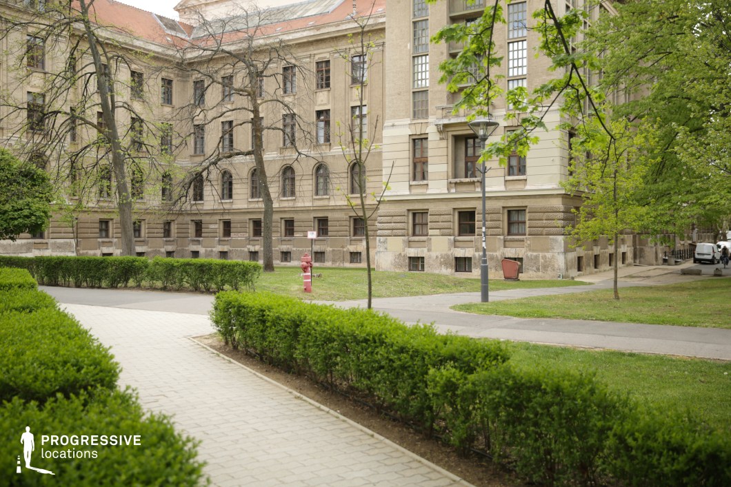This stately courtyard is framed by an imposing neoclassical-style building with tall windows, decorative stonework, and a weathered facade, evoking a sense of academic tradition and intellectual prestige. The structured pathways lined with neatly trimmed hedges lead through a well-maintained green space, adding a sense of order and elegance. The combination of aged stone architecture and greenery creates a balanced, refined atmosphere. This setting is ideal for filming academic dramas, historical narratives, or political thrillers, serving as a prestigious university, government institution, or law school backdrop. The contrast between the formal structure and organic landscape provides rich visual depth, making it suitable for introspective or dialogue-driven scenes.