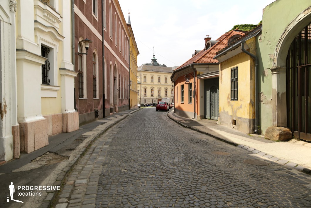 This charming narrow street is paved with irregular cobblestones and lined with a mix of grand institutional buildings and smaller, weathered houses in warm, earthy tones. The aged facades display peeling paint and exposed plaster, contrasting with the more refined architecture in the distance. The curved street and varying heights of the buildings create depth and a sense of history. The blend of classical and rustic elements makes this location ideal for period dramas, European-set romantic films, or historical thrillers, evoking an old-world ambiance that suits scenes of quiet intrigue, personal reflection, or cultural exploration.