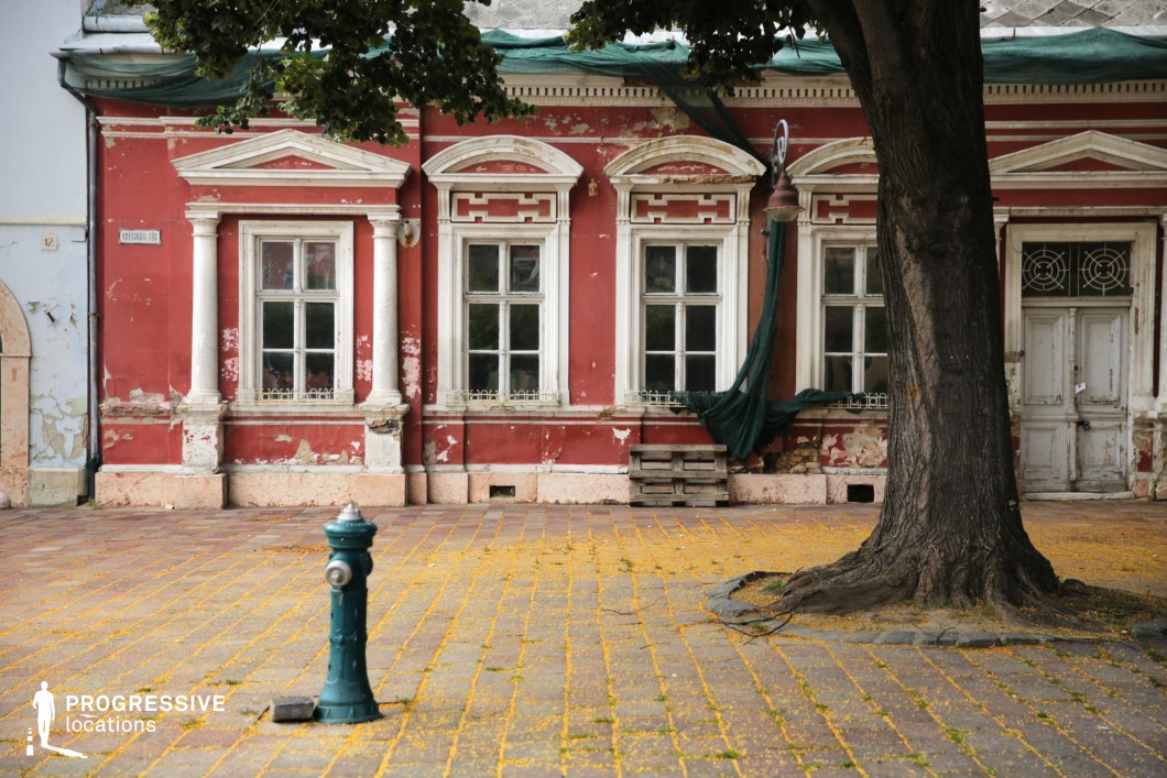This atmospheric scene features a richly detailed yet visibly decayed red historic building with ornate white window frames and classical columns. The peeling paint and exposed masonry suggest a structure with a long and storied past. A large tree and an old hydrant in the foreground add to the nostalgic, slightly abandoned feel of the setting. The draped green netting hints at halted restoration or slow decline, enhancing the sense of mystery. This location is ideal for filming melancholic period pieces, nostalgic dramas, or urban exploration narratives, providing a visually compelling backdrop for stories of forgotten history or rediscovery.