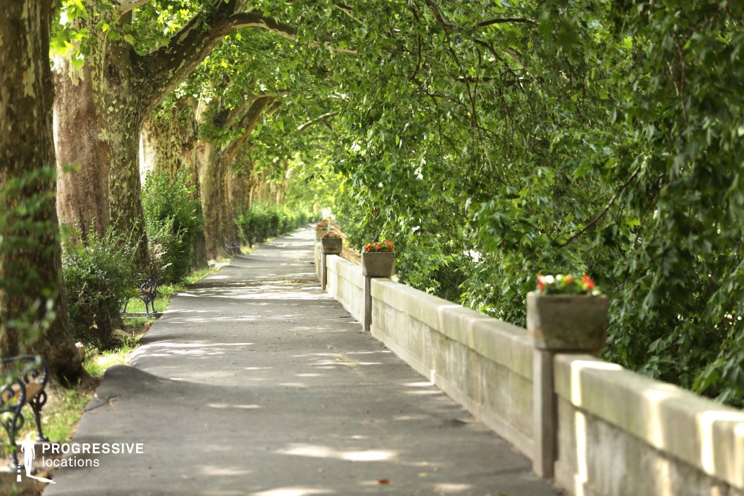 The image showcases a serene promenade lined with towering trees, their branches forming a natural canopy over the paved walkway. The stone balustrade, adorned with decorative planters, adds an elegant and timeless charm to the setting. The dappled light filtering through the foliage enhances the peaceful and inviting atmosphere. The symmetrical alignment of trees and benches creates a sense of depth and continuity. This location is ideal for filming romantic scenes, nostalgic reflections, or leisurely strolls in period dramas, offering a picturesque European-style avenue that evokes a sense of tranquility and elegance.