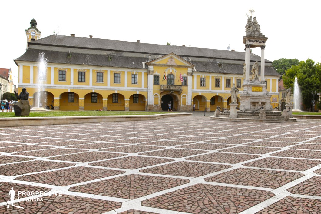 This grand European town square features a patterned red cobblestone pavement leading to a historic yellow building with arched walkways, intricate detailing, and a central balcony. A prominent stone monument with sculpted figures rises at the center, adding a focal point of historical significance. Two fountains frame the scene, enhancing the square’s refined and classical aesthetic. The combination of architectural elegance and open space makes this location ideal for historical dramas, political narratives, or cultural films, providing a majestic backdrop for diplomatic events, period settings, or grand public gatherings.
