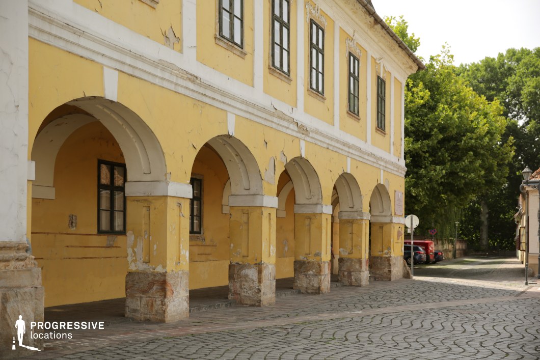 This aged neoclassical building features a series of grand arches supported by thick stone pillars, with a distinctive yellow facade showing signs of peeling paint and weathered plaster. The ornate window frames and decorative cornices add a touch of elegance, contrasting with the rustic imperfections of the structure. The cobblestone street in front enhances the old-world charm, while the tree-lined background softens the urban setting. This location is ideal for filming historical dramas, European period pieces, or atmospheric mystery films, providing a visually rich setting for scenes of intrigue, nostalgia, or quiet reflection in a timeless townscape.