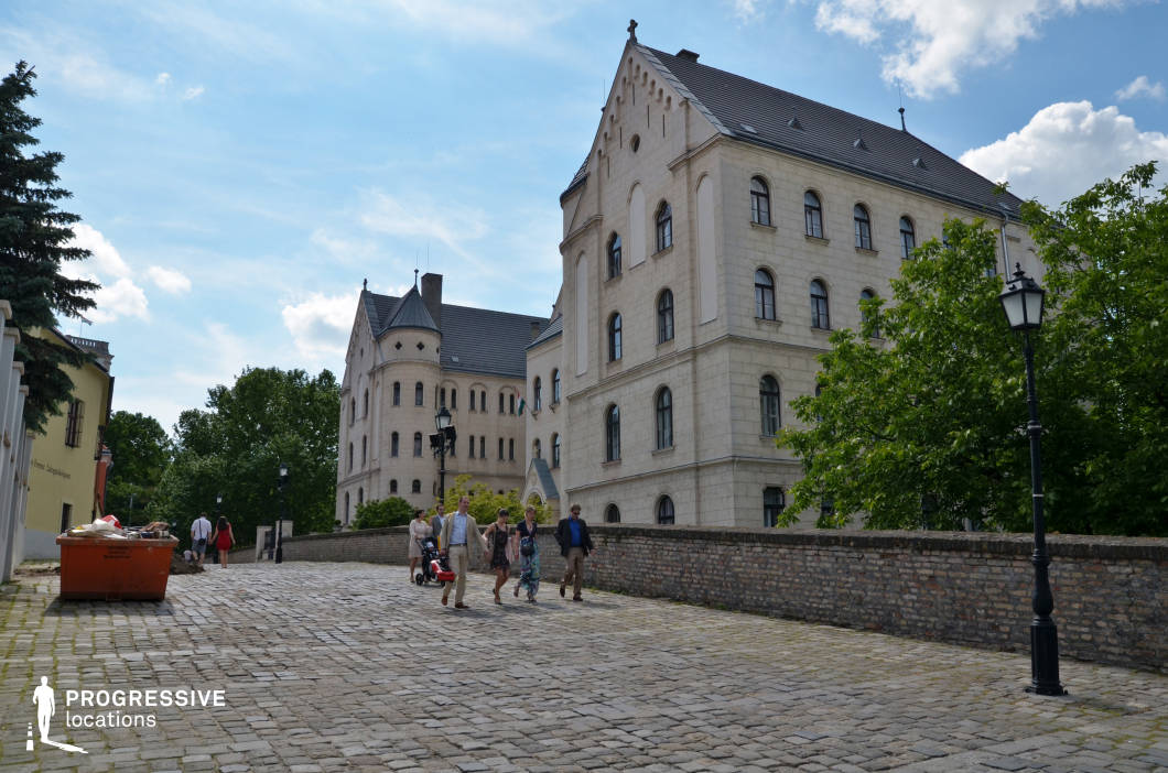 This picturesque setting features a gently sloping cobblestone street leading toward a grand, Gothic-inspired building with a pale stone façade, arched windows, and steeply pitched roofs. The fortified appearance of the structure, along with its turreted elements and decorative details, evokes the aesthetic of a historic monastery or academic institution. The aged brick walls and classic street lamps contribute to the old-world charm, while the surrounding greenery softens the structured architecture. This location is ideal for filming historical dramas, period pieces, or fantasy narratives, providing a visually rich and immersive setting for stories set in medieval, academic, or aristocratic environments. The cobblestone path enhances depth and movement, making it an excellent backdrop for character-driven or atmospheric scenes.