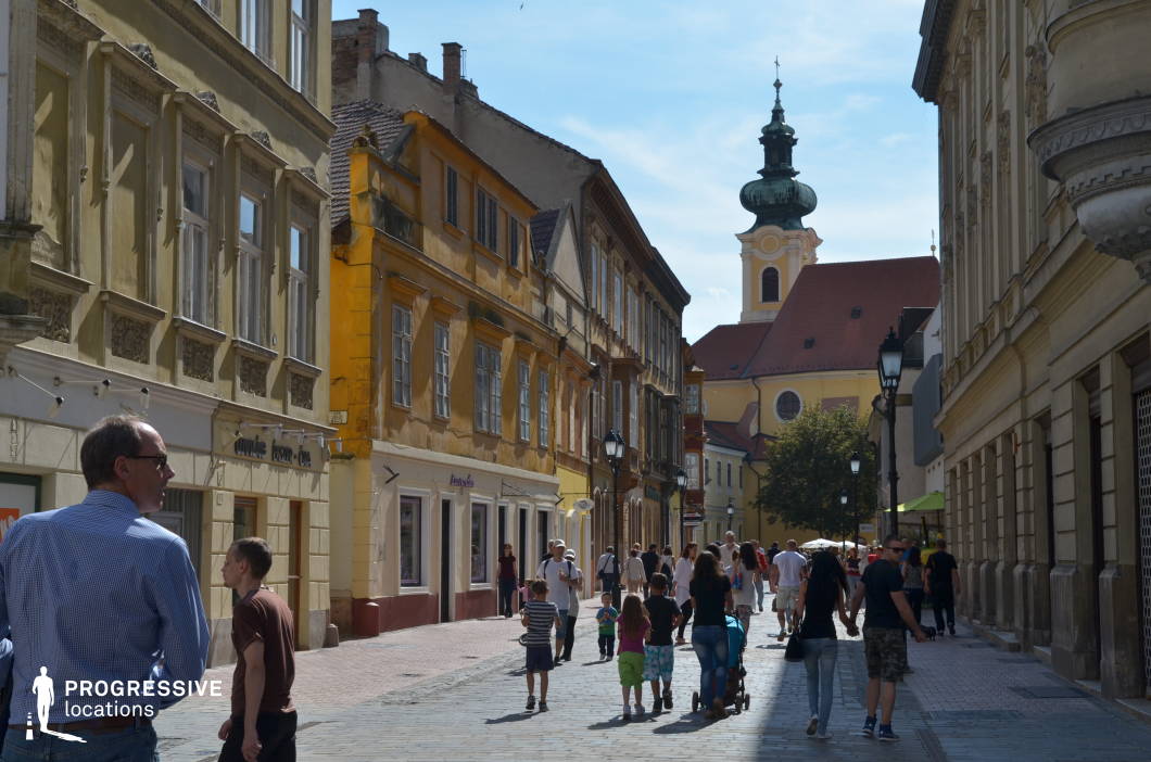 This picturesque cobblestone street is lined with elegant historic buildings in warm earthy tones, featuring intricate architectural details and aged facades. The narrow alleyway gently leads toward a grand Baroque-style church with a distinctive onion dome, its striking silhouette adding depth and character to the scene. Traditional street lamps enhance the old-world charm, while the blend of well-preserved and slightly weathered structures creates a sense of history and authenticity. This location is ideal for filming period dramas, romantic films, or cultural narratives, offering a vibrant and timeless European cityscape perfect for moments of discovery, casual encounters, or nostalgic reflections.