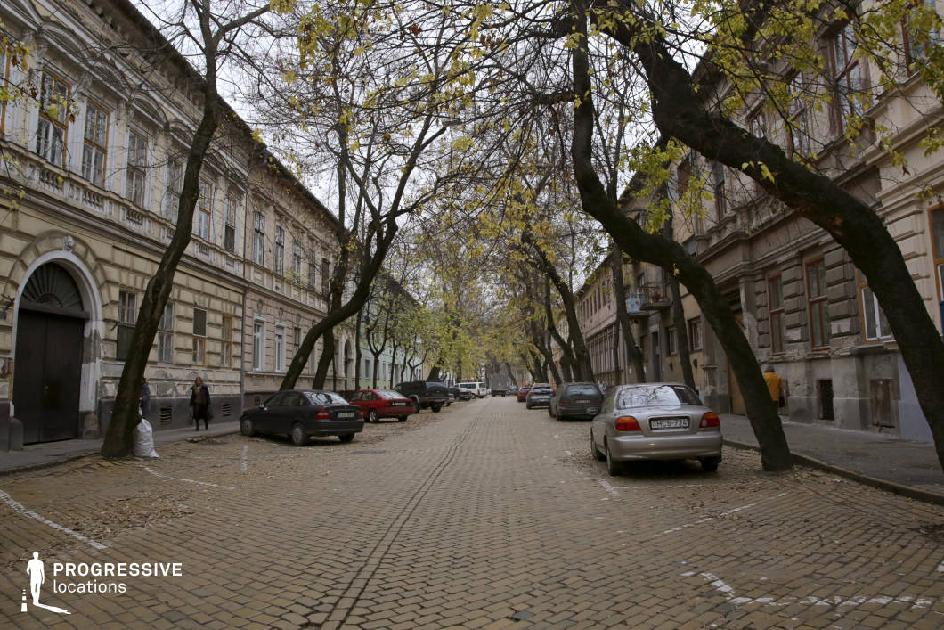 This atmospheric cobblestone street is lined with historic buildings featuring classical facades, arched doorways, and decorative window moldings, reflecting European urban charm. The street is flanked by mature, twisting trees, whose branches form a natural canopy, enhancing the intimate and slightly melancholic ambiance. The mix of well-preserved and weathered structures adds character, creating a setting that feels rich in history. This location is ideal for filming period dramas, mystery thrillers, or noir-style films, offering an evocative backdrop for quiet encounters, introspective moments, or suspenseful urban sequences in an old European city.