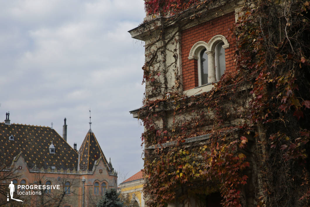 This atmospheric scene features an ivy-clad historic building with red brick walls, delicate twin-arched windows, and intricate stone detailing, evoking a sense of old-world charm. The creeping vines, with their textured foliage, enhance the romantic and slightly mysterious aesthetic. In the background, a Gothic Revival-style building with a steeply pitched, ornamented roof and decorative spires adds grandeur and depth to the composition. The combination of these architectural elements makes this location ideal for period dramas, fantasy films, or historical mysteries, offering a setting rich in character, nostalgia, and timeless elegance.