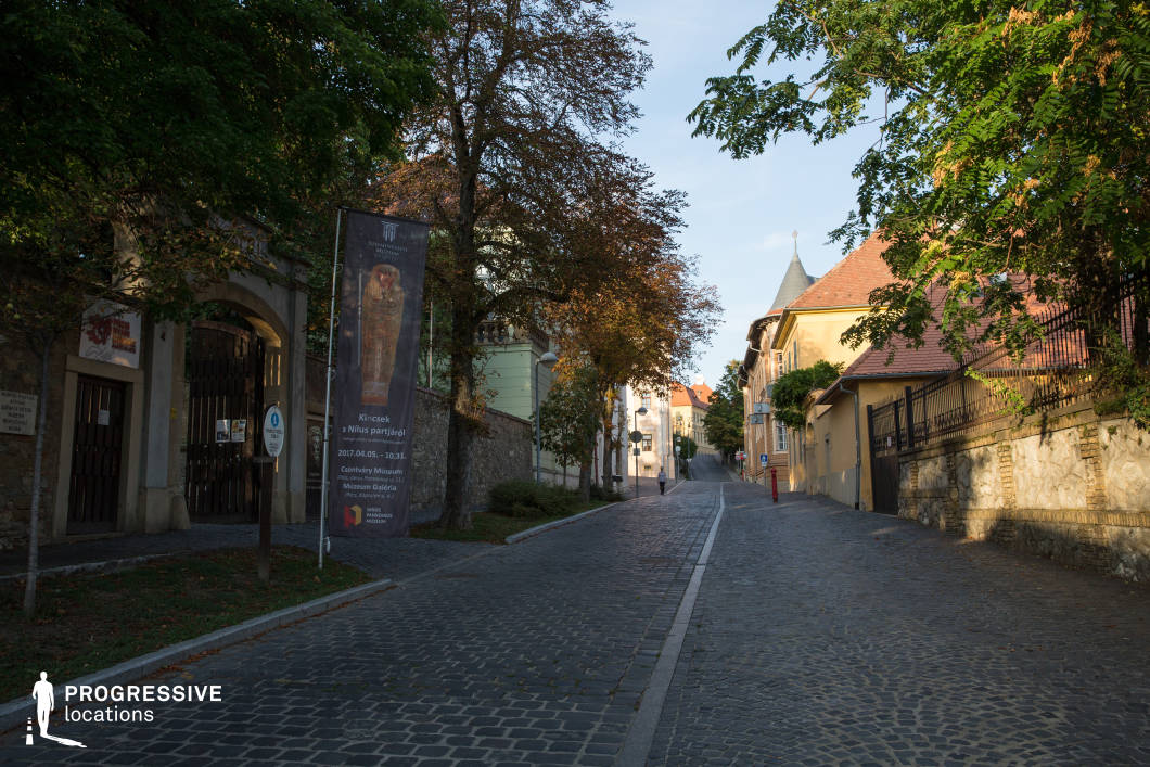 This image features a picturesque European street paved with irregular cobblestones, gently ascending towards a charming collection of historic buildings. The scene is framed by elegant, warm-toned architecture with red-tiled roofs, wrought-iron fences, and stone walls, evoking an old-world atmosphere. Mature trees provide shade, casting dappled shadows on the pavement. The street is lined with historic gates and banners, suggesting cultural landmarks or museums nearby. This location is ideal for filming period dramas, mystery thrillers, or romantic narratives, offering a visually rich and immersive European setting perfect for introspective or dramatic sequences.