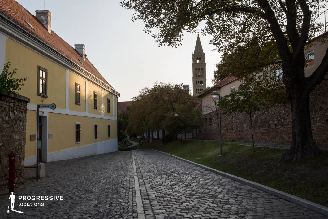 This image captures a quiet, historic street paved with irregular cobblestones, flanked by a yellow plastered building with wooden-framed windows on one side and an aged stone wall with greenery on the other. A towering bell tower with Romanesque-style architecture rises in the background, adding a sense of depth and heritage to the scene. The gently curving road, lined with vintage-style lampposts and mature trees, enhances the timeless European charm of the location. This setting is ideal for filming historical dramas, period pieces, or contemplative character-driven narratives, providing a picturesque, old-world atmosphere perfect for evoking nostalgia, tradition, and quiet elegance.