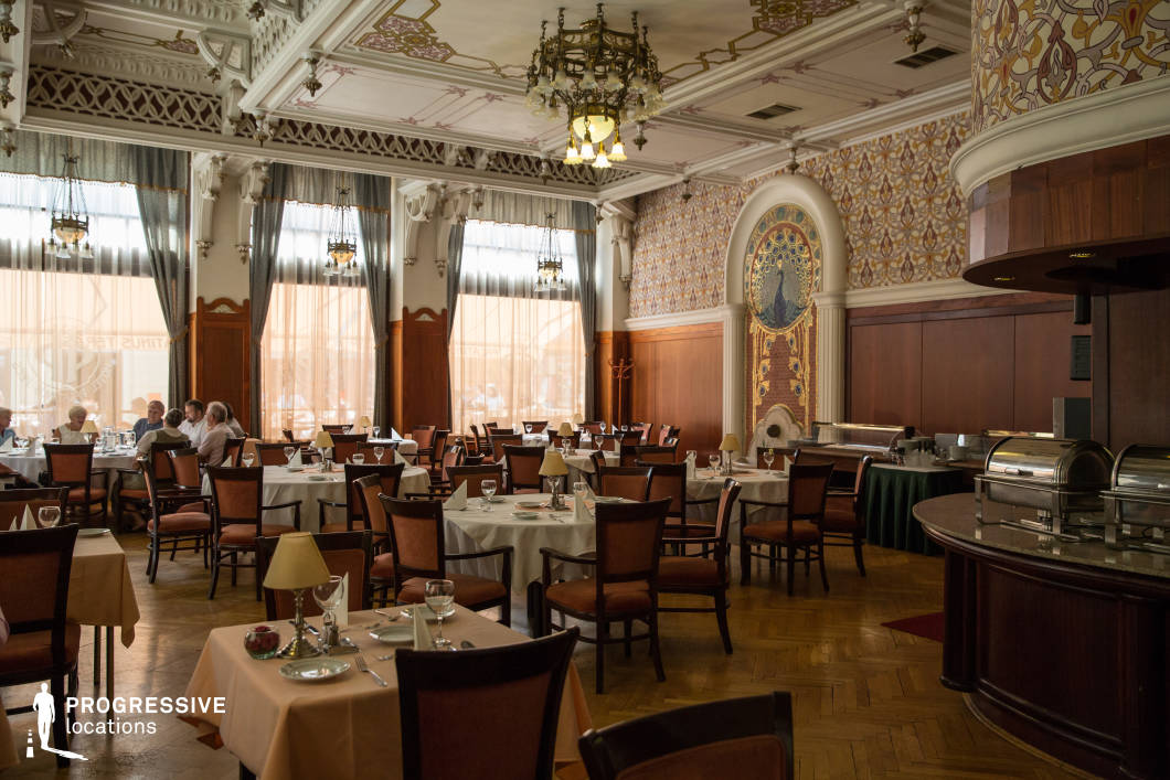 This elegant restaurant exudes historic grandeur, featuring intricate Art Nouveau design elements, high ceilings with decorative moldings, and a richly detailed wall mosaic with a peacock motif. The warm wooden paneling and soft drapery over tall windows create an inviting yet sophisticated atmosphere. Chandeliers and hanging lamps cast a soft glow over the neatly arranged tables set with fine china and glassware. The parquet flooring and refined furnishings enhance the luxurious setting. This location is ideal for period dramas, high-society narratives, or romantic films, providing a classic European backdrop for elegant dining scenes, refined conversations, or pivotal story moments in a lavish environment.