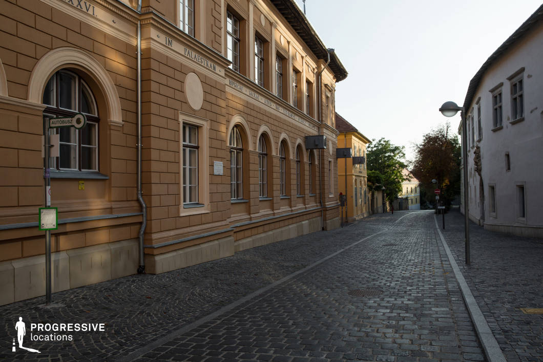 This charming cobblestone street is framed by elegant historic buildings with warm-toned facades, arched windows, and intricate architectural details. The soft light enhances the texture of the paving stones and accentuates the classical character of the structures. The gently curving street, lined with traditional lampposts, leads into the distance, creating a sense of depth and inviting exploration. The well-preserved European setting makes this location ideal for filming period dramas, romantic films, or mystery narratives, offering a visually rich and atmospheric backdrop for contemplative walks, quiet conversations, or encounters in a timeless urban landscape.