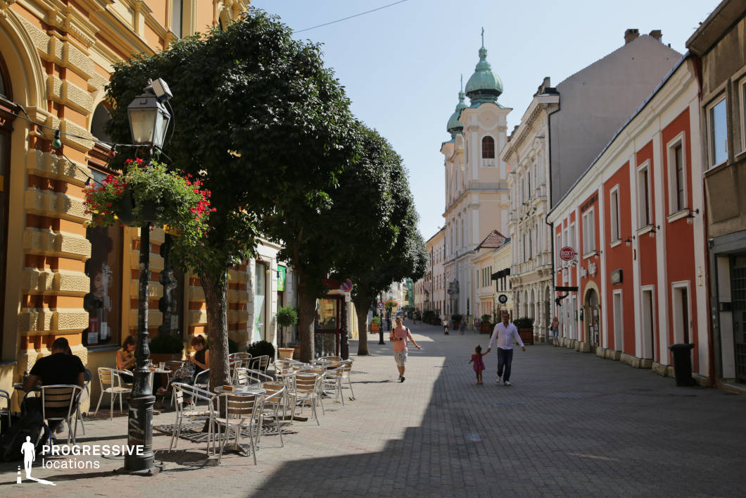 This picturesque European pedestrian street is lined with colorful historic buildings, featuring intricate facades, arched doorways, and decorative details. The cobbled walkway is flanked by charming cafes with outdoor seating, elegant street lamps adorned with hanging flower baskets, and neatly trimmed trees providing shade. In the background, a grand Baroque-style church with twin green domes adds a striking focal point, enhancing the depth and visual appeal of the scene. This location is ideal for filming romantic comedies, period dramas, or travel-themed productions, offering a lively yet intimate setting for casual conversations, chance encounters, or moments of cultural exploration in a historic city center.