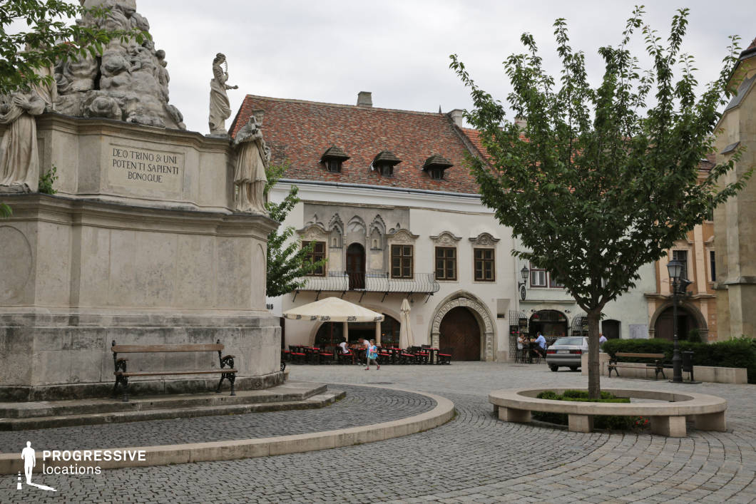 This location features a compact, cobblestone-paved town square centered around an imposing baroque-style monument with stone statues and Latin inscriptions, lending a classical and reverent atmosphere. Surrounding the square are ornate façades with Gothic and Renaissance architectural motifs, including arched wooden doorways, decorative stone window frames, and a steep, weathered tile roof punctuated by dormer windows. The space is geometrically structured with curving stone benches and integrated greenery, offering a balanced layout between solid surfaces and planted elements. The visual composition is closed and intimate, with the monument drawing focus while the background buildings provide historical depth and stylistic contrast. This location is ideal for filming period pieces, historical dramas, or atmospheric scenes requiring a European small-town aesthetic with rich architectural character.