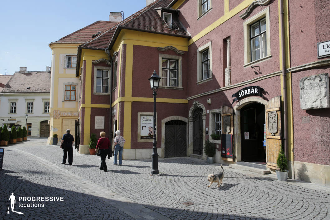 This charming street corner features richly colored Baroque architecture with textured plaster facades in earthy red and mustard yellow tones, framed by stone window trims and arched doorways. The buildings are two to three stories high, with steeply pitched tile roofs and decorative architectural details that add historic character. The cobblestone paving enhances the scene’s old-world ambiance, while the narrow, curved street layout creates a sense of intimacy and enclosure. A black cast-iron lamppost serves as a vertical focal point, and the buildings' curved and angled walls generate visual interest and layering. This setting is ideal for period films, European city scenes, or productions requiring a quaint historical backdrop. The authentic textures, architectural cohesion, and intimate scale make it especially suitable for dramas, romantic films, or commercials needing an atmospheric, pedestrian-friendly old-town environment.