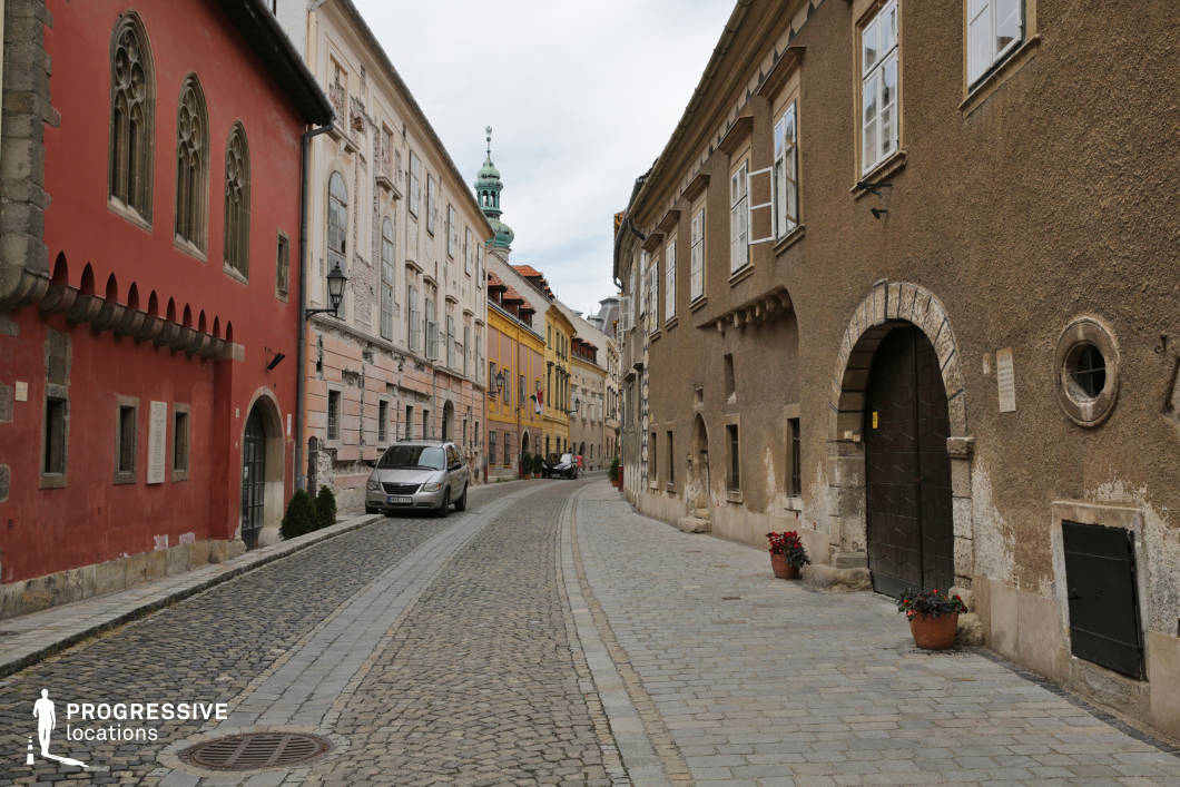 This narrow cobblestone street is framed by a visually rich array of historic buildings, showcasing a mix of architectural styles and textures. On the left, a deep red facade with pointed arched windows and decorative stone detailing contrasts sharply with adjacent pastel and ochre-toned buildings featuring classical window arrangements and worn plaster surfaces. To the right, a textured brown facade with small arched windows and a stone-framed entryway adds a weathered, rustic aesthetic. The winding path and gentle curve of the street lead the eye toward a green-domed tower in the background, creating strong linear perspective and depth. The color palette is warm and earthy, dominated by muted reds, browns, and yellows, contributing to a timeless, Central European atmosphere. The location’s intimate scale, architectural authenticity, and rich textures make it ideal for period dramas, historical films, or character-driven urban scenes.