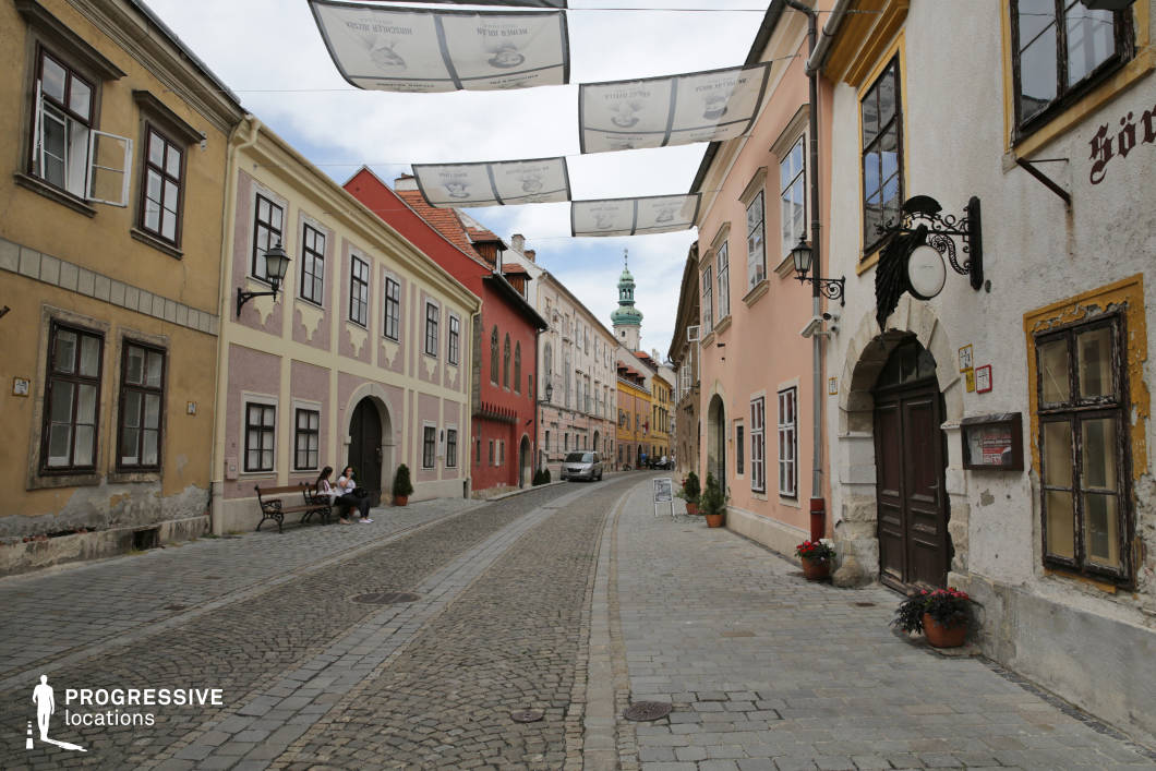This location showcases a gently curving, narrow cobblestone street framed by two- to three-story historic buildings with richly textured façades. The architecture reflects a blend of Central European styles, with pastel-colored plaster walls, arched doorways, sash windows, and detailed cornices contributing to a harmonious, old-town atmosphere. The visual rhythm is enhanced by a variety of muted tones—ochre, peach, rose, and off-white—offset by darker wooden window frames and ornamental signage. Overhead fabric shades add a distinctive, semi-covered spatial quality. The street’s linear perspective leads to a distant church tower, creating natural visual depth. The compact scale and architectural coherence make this site ideal for filming period dramas, romantic scenes, or culturally anchored narratives requiring an authentic European small-town setting.