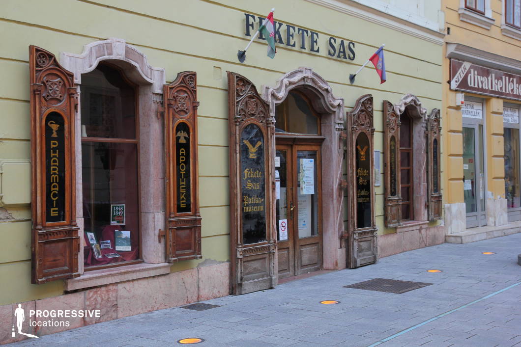 This location features a preserved historical pharmacy storefront characterized by intricate wooden window frames with carved gothic detailing and multilingual signage in gold lettering. The facade is structured symmetrically with arched window tops framed in stone, set into a pale yellow plastered wall, lending the building a refined yet timeworn character. The use of natural materials such as stone and dark wood adds depth and texture, creating a visually compelling contrast with the smooth, pastel-colored wall surfaces. The central double-door entrance enhances the symmetry and period aesthetic, while the uniformly narrow windows provide a vertically segmented rhythm to the composition. The pavement is made of orderly gray stone tiles with embedded circular lights, contributing to a clean and functional urban setting. This location is ideal for historical reenactments, period dramas, or scenes requiring a Central European old-town atmosphere. Its unique architectural details and preserved authenticity make it suitable for genres such as drama, mystery, and documentary-style productions.