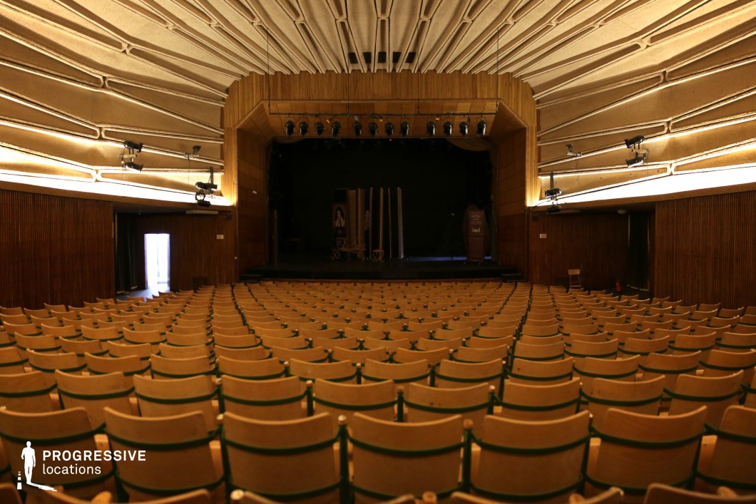 This auditorium features a minimalist mid-century design with warm wooden paneling, tiered rows of light-colored seats, and a slightly elevated stage framed by an angular proscenium. The ceiling boasts geometric, sculptural elements that enhance acoustics and add a distinctive architectural character. Soft, indirect lighting creates a subdued atmosphere, emphasizing the clean lines and functional aesthetic. The intimate yet structured layout makes this an ideal setting for films centered on political intrigue, institutional environments, or retro-futuristic narratives requiring a controlled, formal backdrop.