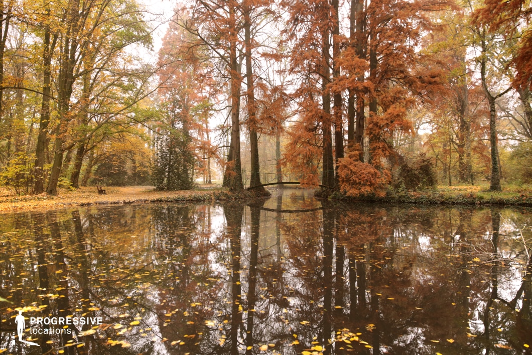This atmospheric forest location features a calm, leaf-covered pond surrounded by tall trees in deep autumn tones, with a narrow bridge subtly spanning the water in the distance. The mirrored reflections in the still surface create a dreamlike visual depth, while the layering of colors and organic shapes evokes a timeless, poetic mood. This spot is perfect for fantasy tales, emotional dramas, or romantic narratives, especially scenes involving introspection, transitions, or encounters in a magical woodland setting.