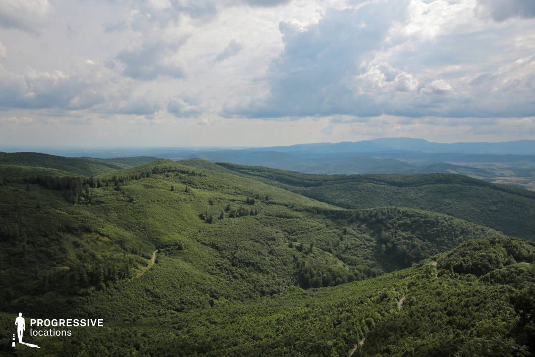 This sweeping landscape captures a vast series of forested ridges rolling into the horizon, with winding paths barely visible among the dense greenery. The natural layering of the terrain creates depth and scale, offering an immersive sense of wilderness and isolation. The view is ideal for establishing shots or journey sequences in adventure, fantasy, or historical films, especially those portraying epic travel, survival, or exploration across untamed landscapes.