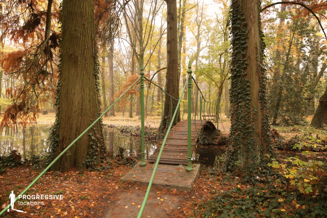 This image showcases a narrow suspension footbridge strung between trees, spanning a shallow stream within a dense forest setting. The structure's green rails blend into the natural surroundings, while the warm tones of fallen leaves and climbing ivy create a rich, cinematic palette. The composition naturally draws the viewer forward, evoking a sense of journey or passage. Ideal for fantasy, romance, or mystery genres, this location is perfect for introspective walks, magical transitions, hidden encounters, or dreamlike sequences set in a secluded woodland.