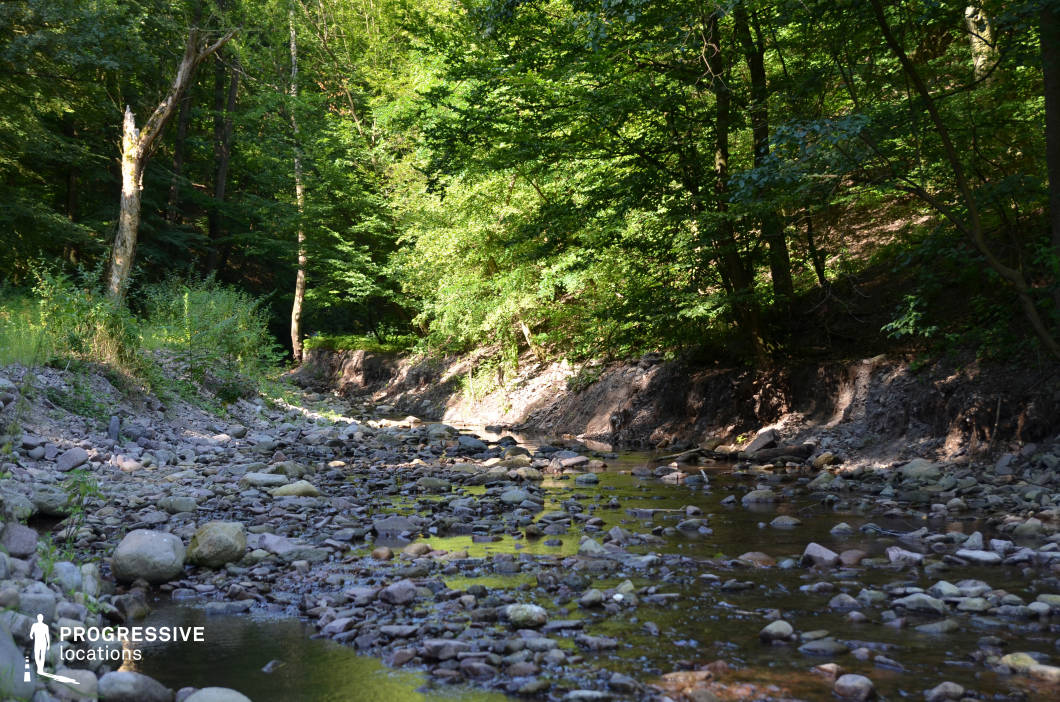This serene forest stream winds through a stony bed beneath a canopy of dense, sunlit trees, with patches of exposed earth and rocky embankments enhancing its natural, untamed look. The meandering water, dappled light, and uneven terrain create a textured, immersive backdrop. Ideal for fantasy, nature-based dramas, or adventure films, this location suits scenes of solitude, travel, cleansing rituals, or pivotal moments of transformation in the wilderness.