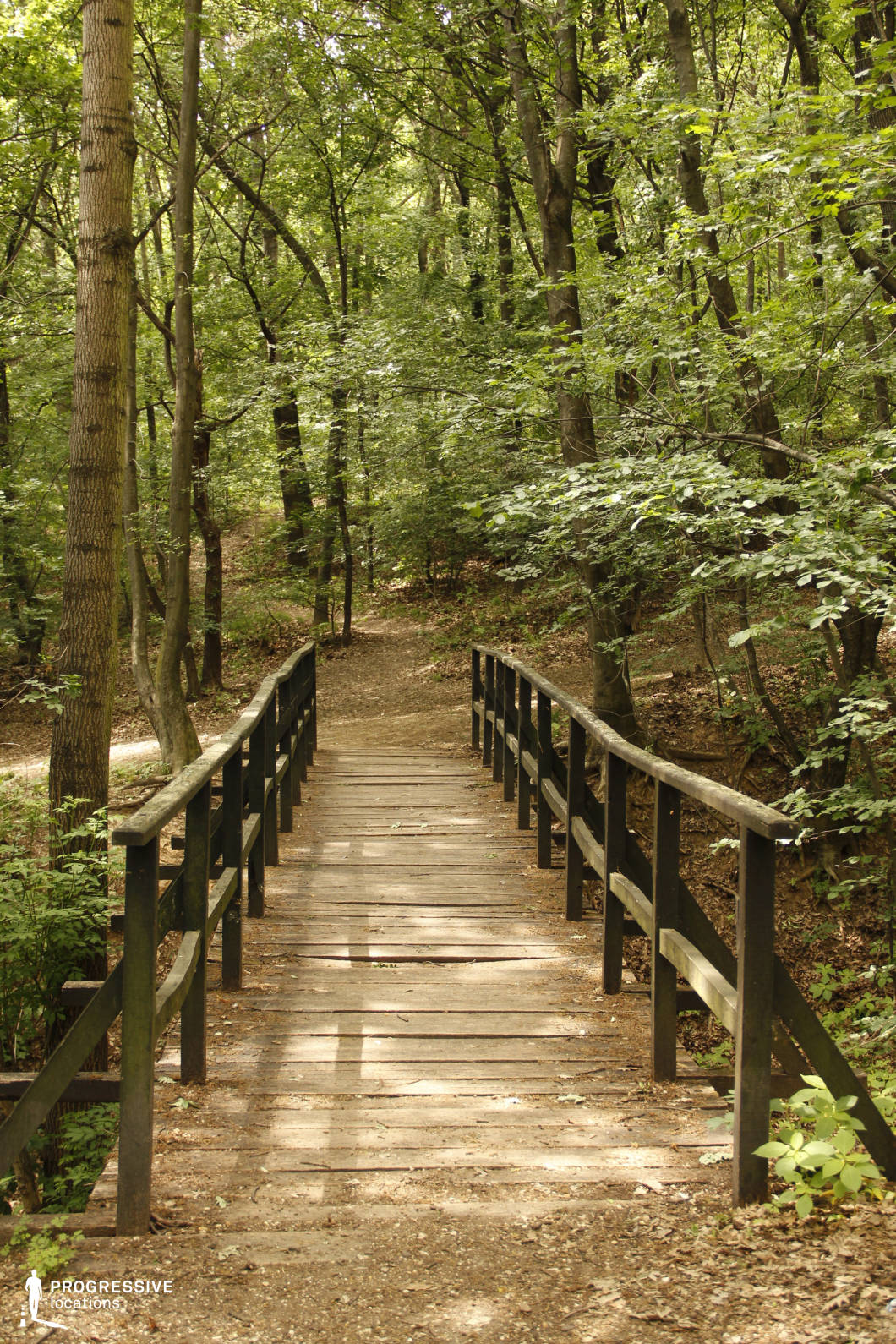 This forest scene features a rustic wooden bridge leading into a densely wooded trail, framed by tall, slender trees and an inviting dirt path that disappears into the greenery. The bridge acts as a natural focal point and transition element, suggesting movement or a journey into the unknown. The location is well-suited for fantasy films, adventure stories, or coming-of-age dramas, particularly for scenes involving secret escapes, woodland exploration, or pivotal character transitions in a quiet, secluded setting.