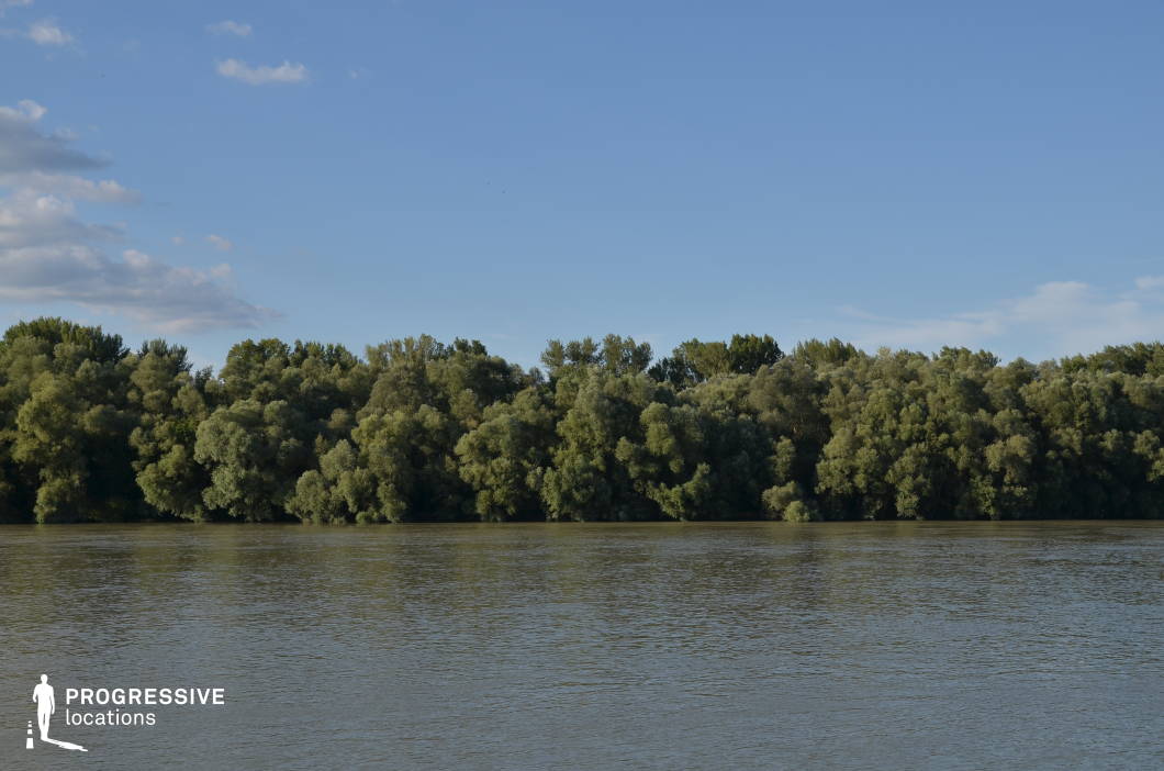 This wide river scene features a dense wall of leafy trees lining the opposite bank, forming a continuous, natural backdrop with no visible signs of human alteration. The flat water surface and uniform tree line evoke a sense of seclusion and wilderness, making the location feel untouched and timeless. With its simple, immersive natural setting, this location is ideal for filming river journeys, escape sequences, or scenes involving solitude, nature exploration, or primal survival—particularly for historical, adventure, or nature-focused genres.