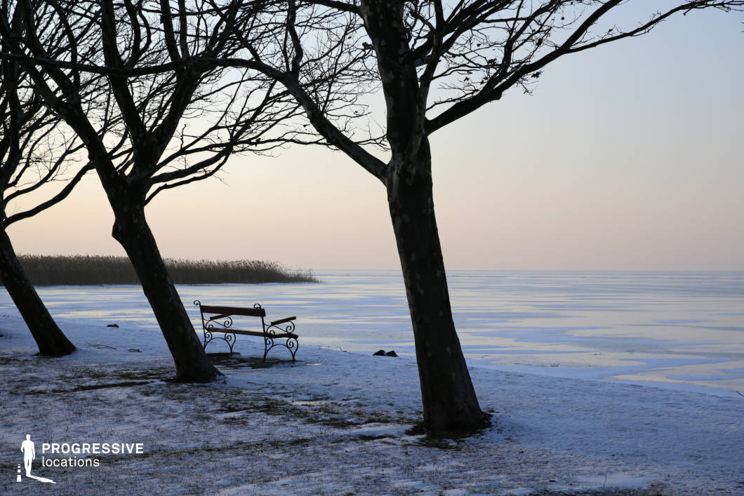 This minimalist lakeside scene features bare trees and a wrought-iron bench facing a vast, frozen expanse, with gentle reeds in the distance and a soft gradient sky. The muted palette and open composition create a quiet, contemplative atmosphere, evoking isolation, memory, or stillness in time. This location is ideal for introspective dramas, poetic visuals, or emotional turning points in art films, as well as fantasy scenes needing a dreamlike, otherworldly lakeside setting.