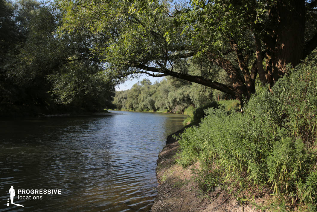 This serene riverside spot features a gently curving waterway bordered by dense foliage and a prominent, low-hanging tree that frames the scene. The combination of open water, natural shadows, and the steep, earthy bank creates a secluded and immersive setting. The quiet intimacy of the location makes it ideal for filming introspective or emotional scenes, secret meetings, escapes into nature, or tranquil interludes in dramas, fantasies, or coming-of-age films.