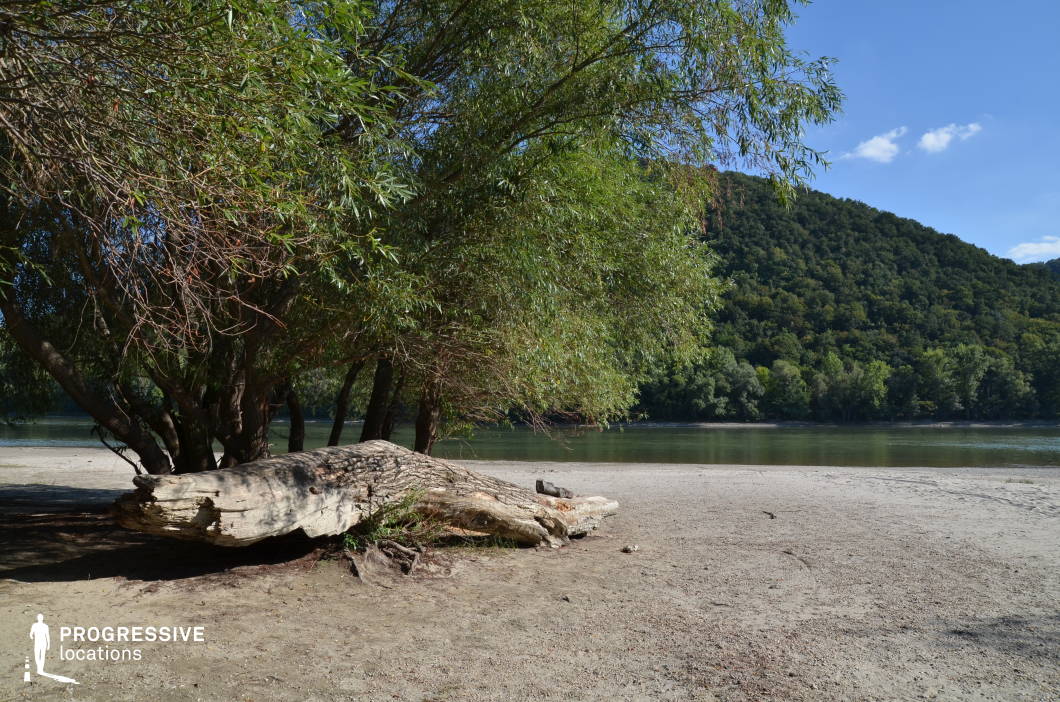 This peaceful riverside spot features a sandy shore lined with leaning trees and a prominent fallen log, framed by the still water and a densely forested hill across the river. The natural, undisturbed character and muted textures make it feel secluded and untouched, ideal for conveying introspection, escape, or primitive life. This location is well-suited for nature-centric dramas, survival stories, or fantasy scenes involving river crossings, hidden camps, or quiet moments of solitude and connection with nature.