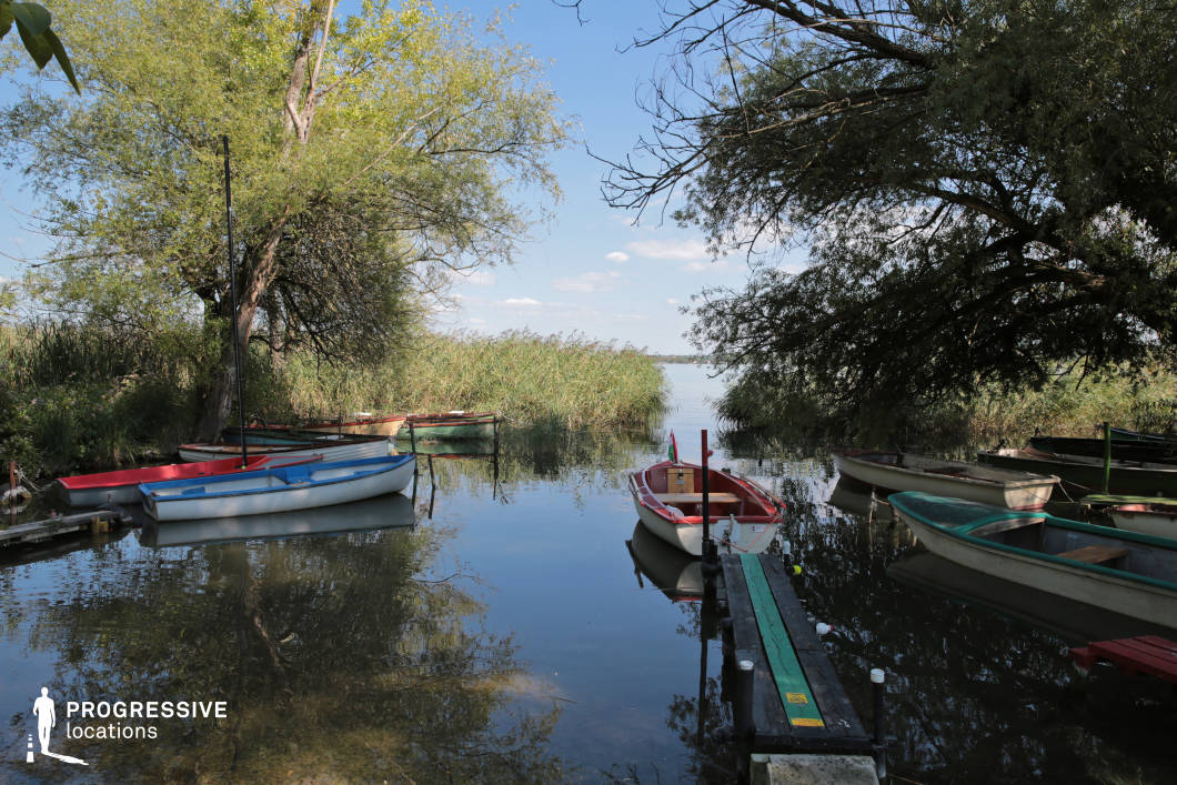 This picturesque lakeside inlet is framed by dense reeds and leaning trees, creating a natural enclosure that opens toward a distant body of water. Several small boats are moored along a narrow wooden dock, their colorful accents contrasting with the soft greens and blues of the landscape. The calm, reflective water surface enhances the sense of stillness and seclusion, while the overhanging branches and irregular shoreline introduce organic complexity to the scene. This location is ideal for serene, introspective, or nostalgic scenes in dramas or romantic films, offering a peaceful and visually rich environment with a strong sense of intimacy and natural charm.