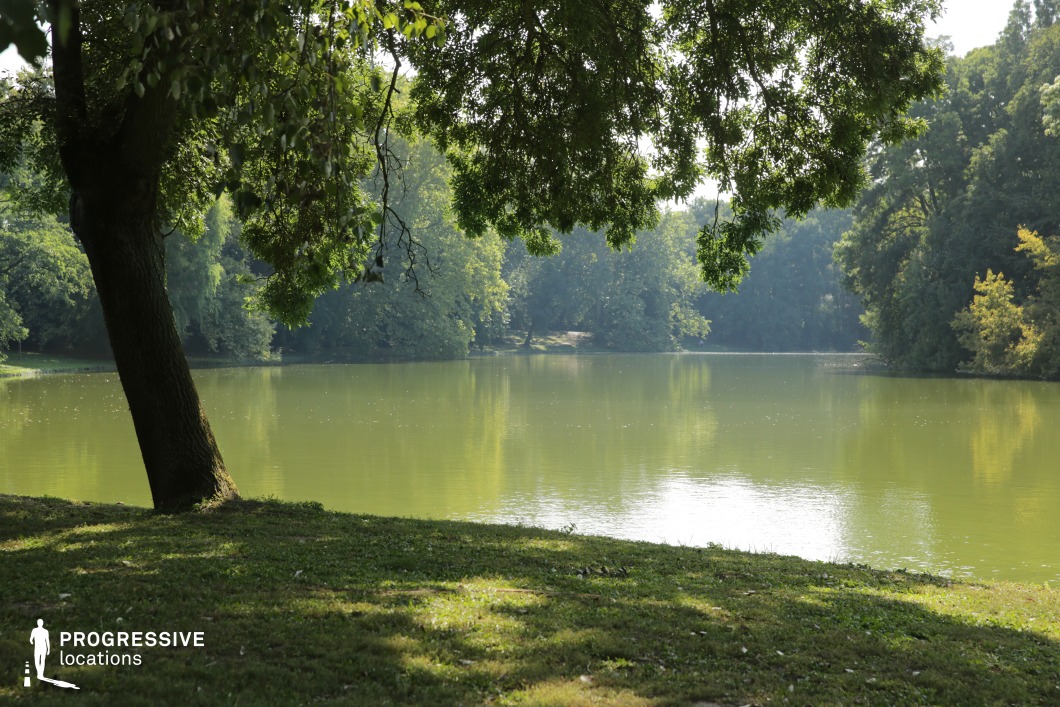 This tranquil lakeside setting is framed by lush green foliage and dappled light filtering through overhanging branches, with the still water reflecting the surrounding trees. The sloped grassy bank and natural framing give the space a secluded, almost hidden feel, ideal for creating intimacy or quiet tension. This location is well-suited for romantic interludes, reflective monologues, secret meetings, or scenes of childhood nostalgia or loss in dramas, coming-of-age films, or magical realism.