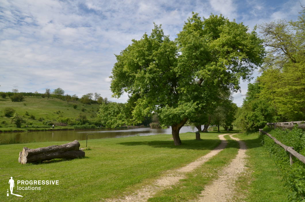 A winding gravel path runs alongside a peaceful lake, bordered by dense greenery and gently sloping hills in the distance. The large trees with broad canopies cast natural shade over the path, while the open landscape maintains a sense of calm and simplicity. The setting offers a harmonious balance of land and water, ideal for tranquil, emotional, or romantic scenes. This location is perfect for countryside dramas, coming-of-age stories, reflective monologues, or moments of solitude and connection with nature.