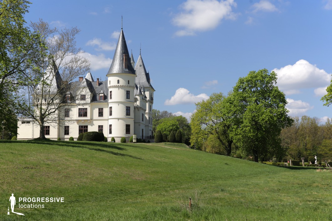 This image captures an enchanting castle with pointed turrets, steep slate roofs, and a soft-toned façade, evoking a romantic and fairytale-like aesthetic. Nestled within a vast, gently sloping meadow, the castle is surrounded by manicured shrubs and mature trees, seamlessly blending grandeur with nature. The asymmetrical structure and decorative elements, such as crenelated towers and arched windows, enhance its historic charm. This location is ideal for filming fantasy films, period dramas, or romantic narratives, offering a magical and elegant setting reminiscent of classic European castles.