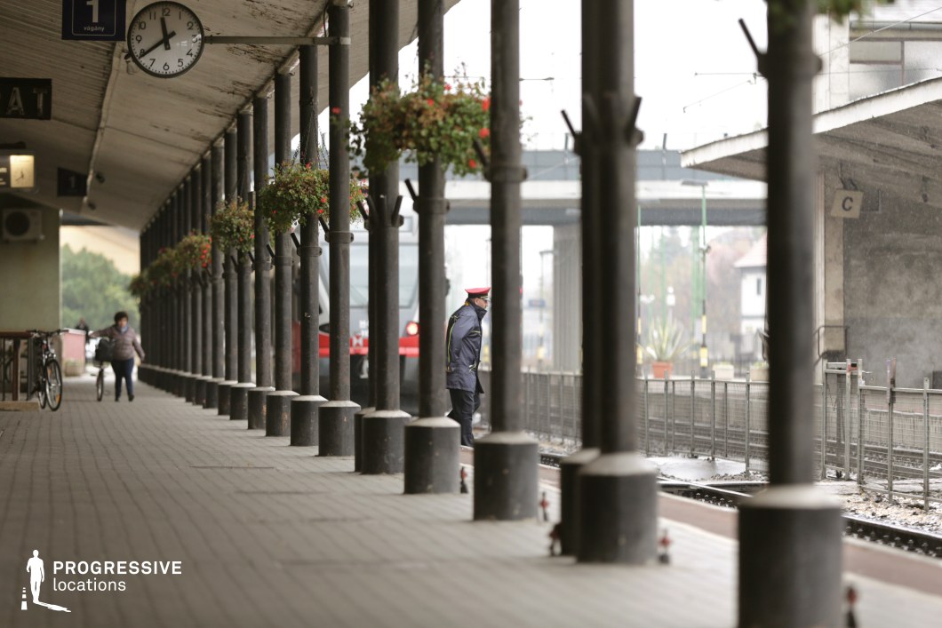 This covered train platform features a long row of black metal columns supporting a weathered concrete canopy, creating a strong sense of depth and perspective. The platform is paved with rectangular tiles, leading the eye toward the background where a red and white train is partially visible. Hanging flower baskets add a subtle contrast to the industrial and utilitarian architecture. The overall atmosphere is functional yet slightly aged, making this location ideal for filming travel sequences, suspenseful departures, or introspective moments in dramas, thrillers, and period pieces.