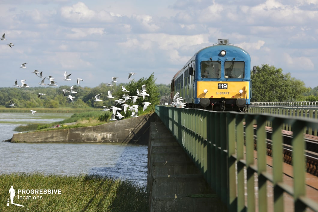 This striking railway bridge scene features a vintage blue and yellow train traveling along a narrow steel structure over a vast body of water. The bridge is lined with green metal railings that guide the eye towards the train, emphasizing depth and perspective. Lush vegetation and reeds grow along the water’s edge, while a concrete embankment adds an industrial contrast. The open sky and distant treeline enhance the feeling of movement and isolation. This location is ideal for filming travel sequences, contemplative moments, or dramatic crossings, making it well-suited for adventure, drama, or atmospheric thriller genres.