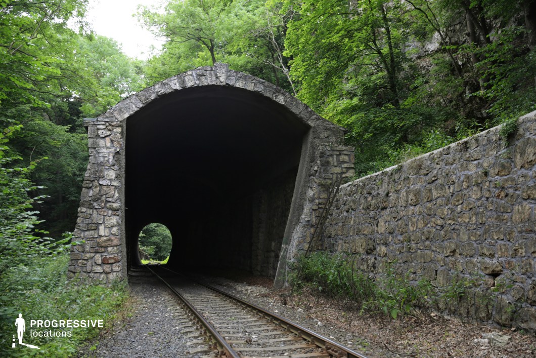 This rustic stone railway tunnel, nestled within a dense forest, features a rugged arched entrance constructed from irregularly shaped stones. The tunnel's interior is dark, contrasting sharply with the bright greenery that surrounds it, creating a visually striking depth effect. A stone retaining wall runs alongside the tracks, blending with the natural environment while reinforcing the engineered landscape. The tracks continue through the tunnel, disappearing into the distance, enhancing the sense of mystery and intrigue. This location is ideal for filming suspenseful, historical, or adventure scenes, offering a perfect blend of natural seclusion and aged infrastructure.