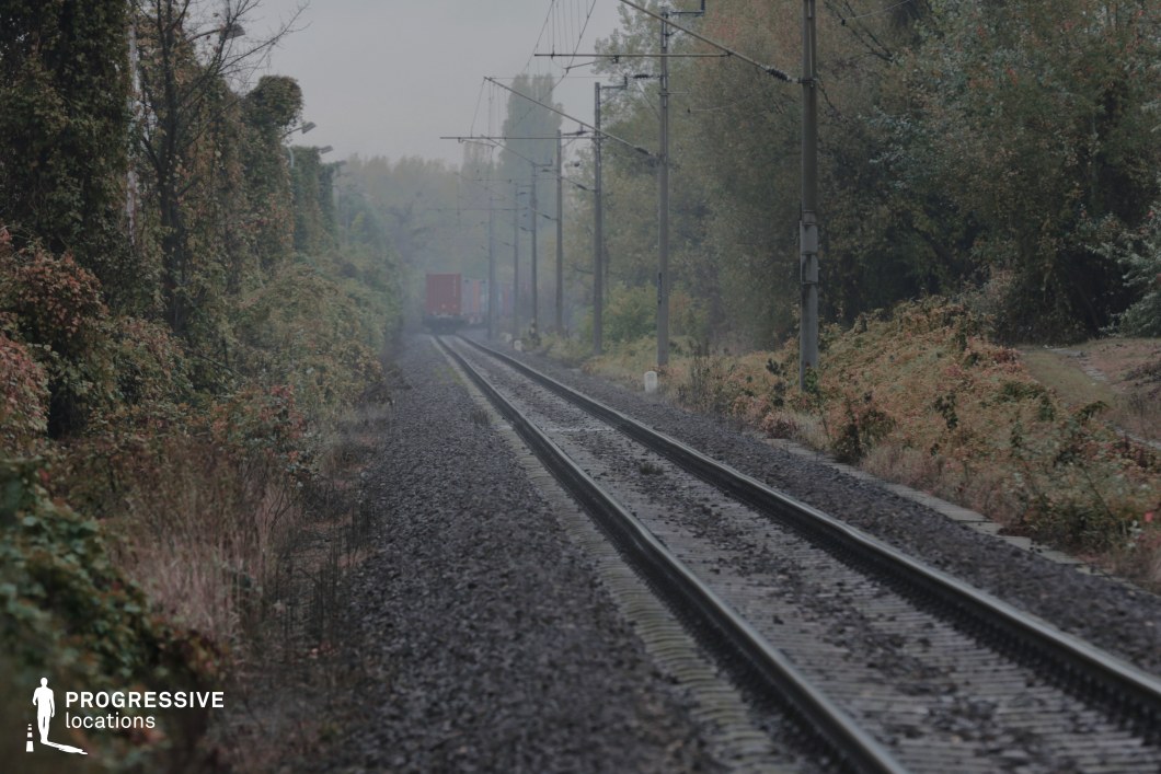 This atmospheric railway setting features parallel tracks vanishing into the distance, framed by overgrown vegetation and industrial infrastructure. Overhead electrical lines stretch along the path, supported by weathered poles that add to the structured, rhythmic composition. The tracks are lined with dark gravel, contrasting with the creeping vines and untamed greenery that encroach upon the scene. A freight train, partially visible in the distance, adds a sense of movement and purpose. This location is ideal for filming moody, introspective, or suspenseful sequences, making it suitable for thrillers, neo-noir, or contemplative travel dramas that emphasize transition, solitude, or an uncertain journey.