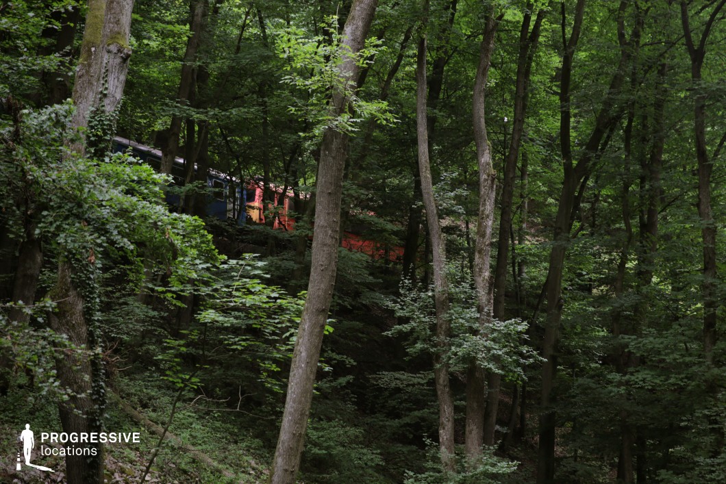 A train weaves through a dense, lush forest, partially obscured by tall, slender trees with vibrant green foliage. The surrounding woodland is thick with vegetation, creating a secluded and untouched atmosphere. The contrast between the bright colors of the train and the deep greens of the forest adds visual interest, making the scene dynamic yet tranquil. The terrain appears rugged and uneven, emphasizing the remoteness of the railway path. This location is ideal for filming adventure, mystery, or period dramas, offering a cinematic blend of nature and motion, perfect for sequences involving hidden journeys, isolation, or discovery.