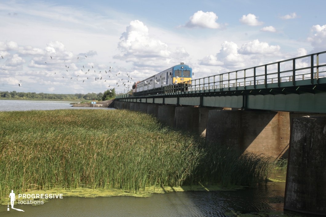 This railway bridge stretches over a tranquil wetland, supported by sturdy concrete pillars that rise from the water. The metal structure of the bridge, painted in muted green, blends subtly with the surrounding landscape. Beneath, dense reeds and aquatic vegetation thrive, partially covering the water’s surface, adding texture and depth to the scene. The vast sky and open horizon contribute to the sense of spaciousness, while distant landmasses and trees form a soft, natural backdrop. This location is ideal for filming travel sequences, contemplative moments, or dramatic crossings, making it suitable for adventure, road-movie-style dramas, or nature-inspired storytelling.